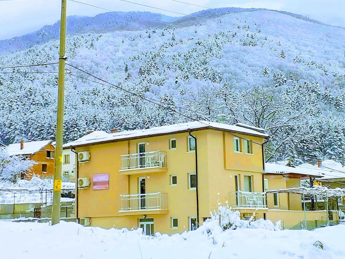 Guest House Tedi ساباريفا بانيا المظهر الخارجي الصورة