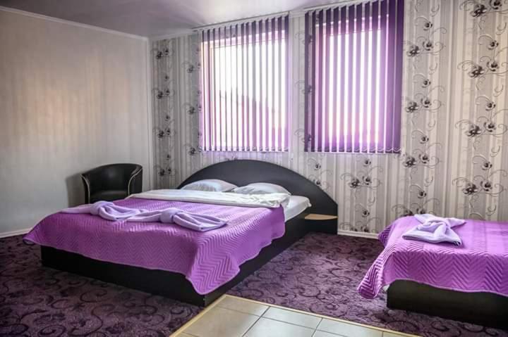 Guest House Tedi ساباريفا بانيا المظهر الخارجي الصورة