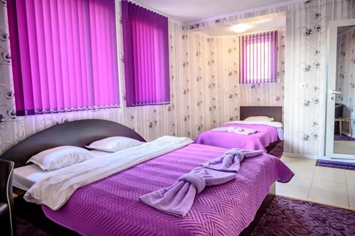 Guest House Tedi ساباريفا بانيا المظهر الخارجي الصورة